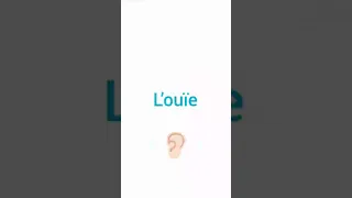 The Five Senses In French 