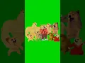 OOOh cheems doge meme template green screen