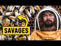 Download Lagu We Became Beekeepers For The Day