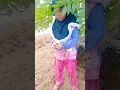 Download Lagu jangan ganggu Mak lampir #shorth