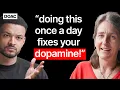 Download Lagu Dopamine Expert: Doing This Once A Day Fixes Your Dopamine! What Alcohol Is Doing To Your Brain!