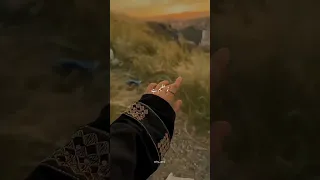 Https Vm Tiktok Com ZSHcksrfPQGSM 0mcba This Post Is Shared Via 