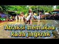 Lagu Atraksi kuda jingkrak aksi memukau 3 kuda atraksi bareng