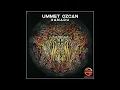 Download Lagu Ummet Ozcan - Xanadu