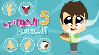 the five senses in arabic for kids learn the five senses in arabic with zakaria