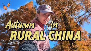 在中国山村尝到美国童年的味道｜我在浙江山村遇到了家乡味