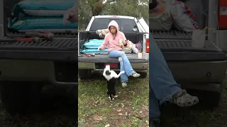 Mav Wasn T Even Close Shorts Dog Pets Maya Mayahiga 