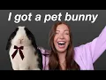 Getting a pet bunny pick up my holland lop rabbit bunny supplies haul Setting up vlog