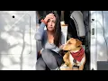 SICK and ALONE in a van and EVERYTHING SUCKS