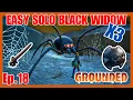 How To Kill A Black Widow Easy - Grounded