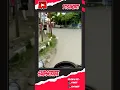 Download Lagu Tet teret tetet..