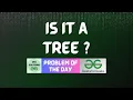 GFG POTD Is it a tree GeeksForGeeks POTD GFG Solutions 24-01-2024