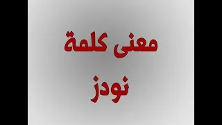 معنى كلمه نودز بالمختصر المفيد 
