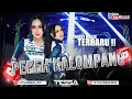 Download Lagu PEPEH KALOMPANG SINGLE FUNKOT TERBARU MADURA VIRAL TIKTOK 2024 DJ TESSA MORENA