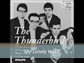 The Thunderbirds -  My Lonely Heart ( rare version with Orchestra )