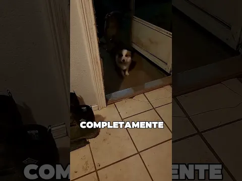 Esta Familia No Se Esperaba ESTO 😱