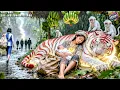 Download Lagu Pregnant Girl Thrown into River by Mistress, Returns 7 Years Later with Child for Revenge!