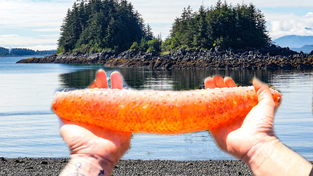 TINY ISLAND Has Sea Cucumbers!? We Ate It...