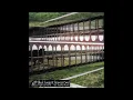 BLACK LOOPS & INNOCENT SOUL - BELIEVE IN U