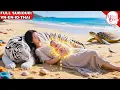 Download Lagu Cô Gái Tình Một Đêm Với Tổng Tài Rồi Biến Mất, Bị Hãm Hại Mất Con 3 Năm Sau Bất Ngờ Trở Thành Vợ Anh