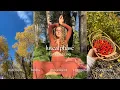 Cycle Syncing to the Luteal Phase nutrition herbs and more for hormone balance