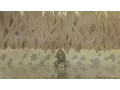 Download Lagu Yamato - Mokuton: Jukai Heki | English SUB | Episode 109 | [Naruto]