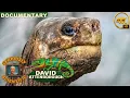 David Attenborough Galapagos - Evolution Full Documentary 4K