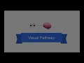 Tricky Topics Visual Pathway
