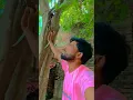 Download Lagu wo ladki bahut yaad aati h 🙏🥹#shortvideo #song #love #bollywood #songshoot