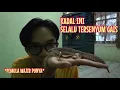 Download Lagu REKOMENDASI HEWAN REPTIL BUAT YANG BARU MAU COBA PELIHARA REPTIL | LEOPARD GECKO KADAL SENYUM #gecko
