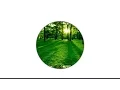 How to make Responsive Oval Circle using DIV and CSS