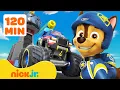 Download Lagu PAW Patrol |  PAW Patrol Reddingswielen Avonturen! #7 met Chase 🚗 2 Uur | Nick Jr. Nederlands