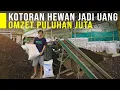 Lagu Ide Usaha Olah Kotoran Kambing dan Sapi Jadi Pupuk Bernilai Ekonomi Tinggi