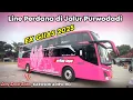 Lagu KEJUTAN SPESIAL BUAT JALUR PURWODADI | Line Perdana Armada Baru Berlian Jaya ex Pameran GIIAS 2025