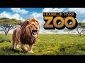 Franklin Park Zoo Full Tour - Boston Massachusetts