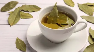 اشرب مغلي ورق الغار قبل النوم وشف النتيجة المدهشة بعد 7 أيام! (مدعوم علميًا)