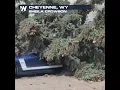 Hurricane force winds howl across Wyoming Thursday