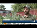 Growing interest in Tucson community gardens