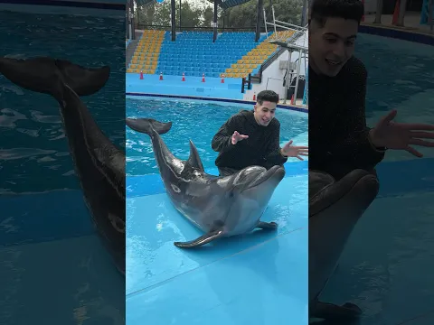 سأت الدولفين يحبكم ام لا صدمني🐬😰