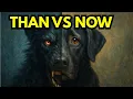 Download Lagu The Curse of the Black Dog: Truth or Myth?