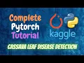 Pytorch Complete Tutorial Cassava Leaf Disease Detection Python