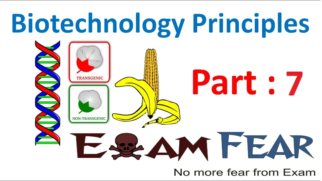 Biology Biotechnology Principles part 7 (Restriction Enzymes ( recognition sequence) class 12 XII