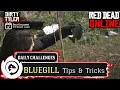 RDR2 Bluegill Locations Tips Red Dead Online