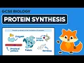 Protein Synthesis - GCSE Biology
