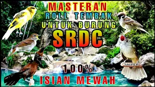 masteran roll tembak untuk burung srdc murai batu cucak ijo cendet isian mewah 100 