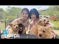 Download Lagu [2WICE's DATE Season 4] Ep. MOMO💞TZUYU