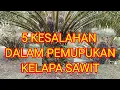 Lagu 5 kesalahan dalam pemupukan kelapa sawit