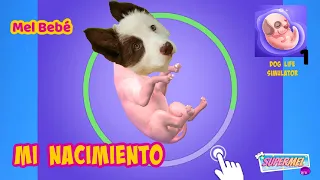 Download Perro Jugando a Simulador de Vida de Perro en la Vida Real / Mel Gamer MP3