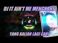Download Lagu DJ IT AIN'T ME X MELODI MAIMUNAH X POM POM POMPAI MENGKANE - REMIX BY VINKY YETE