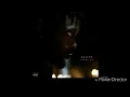 Damso -feu de bois